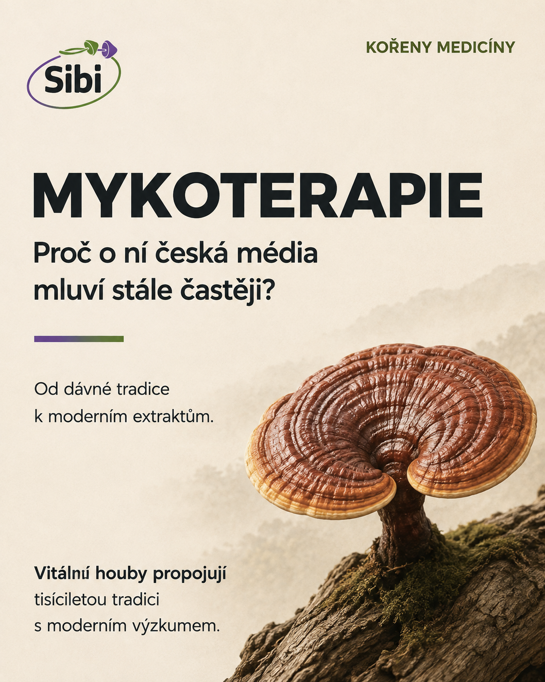 Mykoterapie – dávná tradice, o které česká média mluví stále častěji
