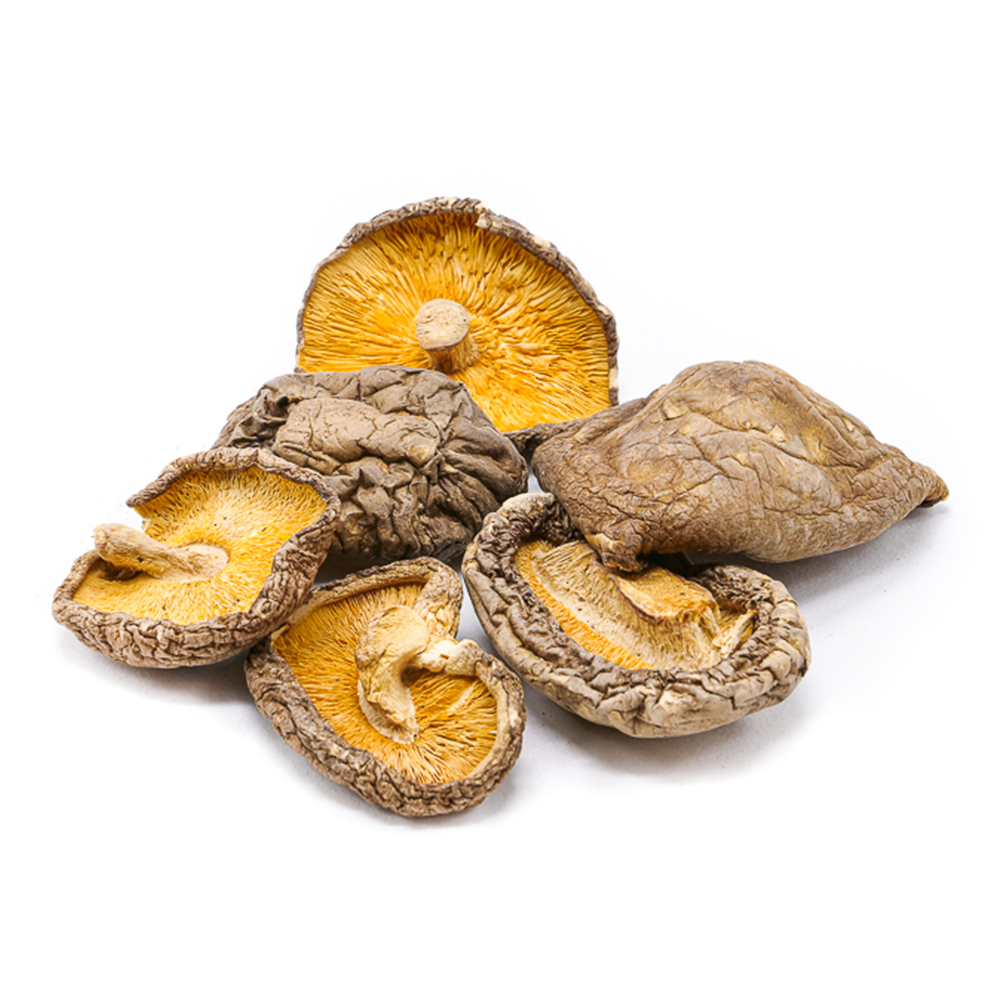 Shiitake