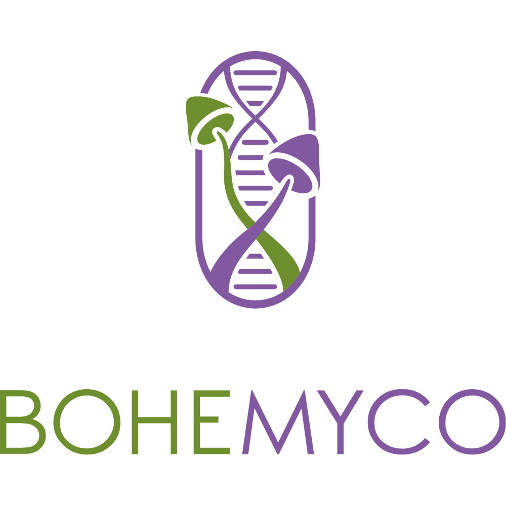 Bio Organické Houby