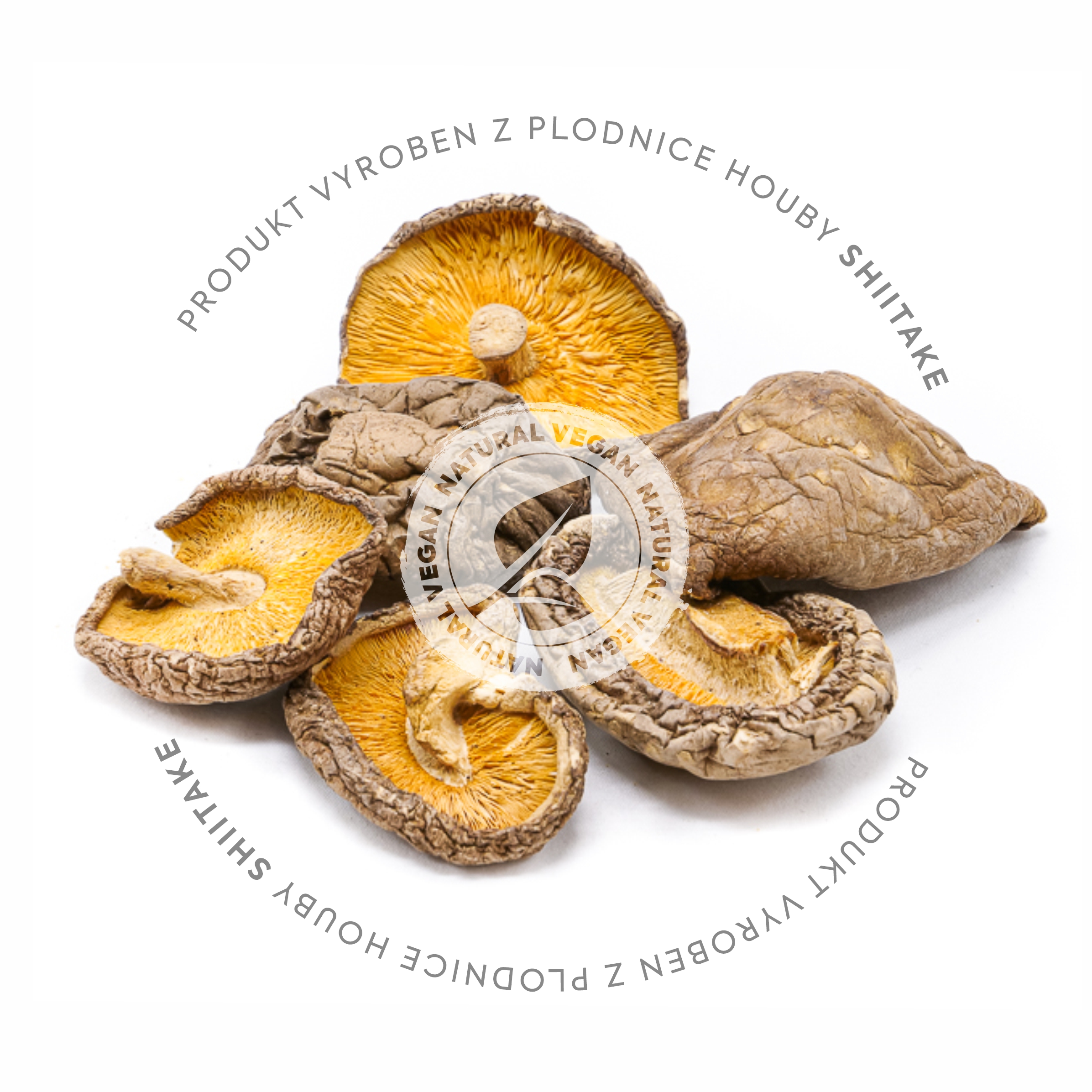 SHIITAKE EXTRAKT 90 KAPSLÍ 500 mg