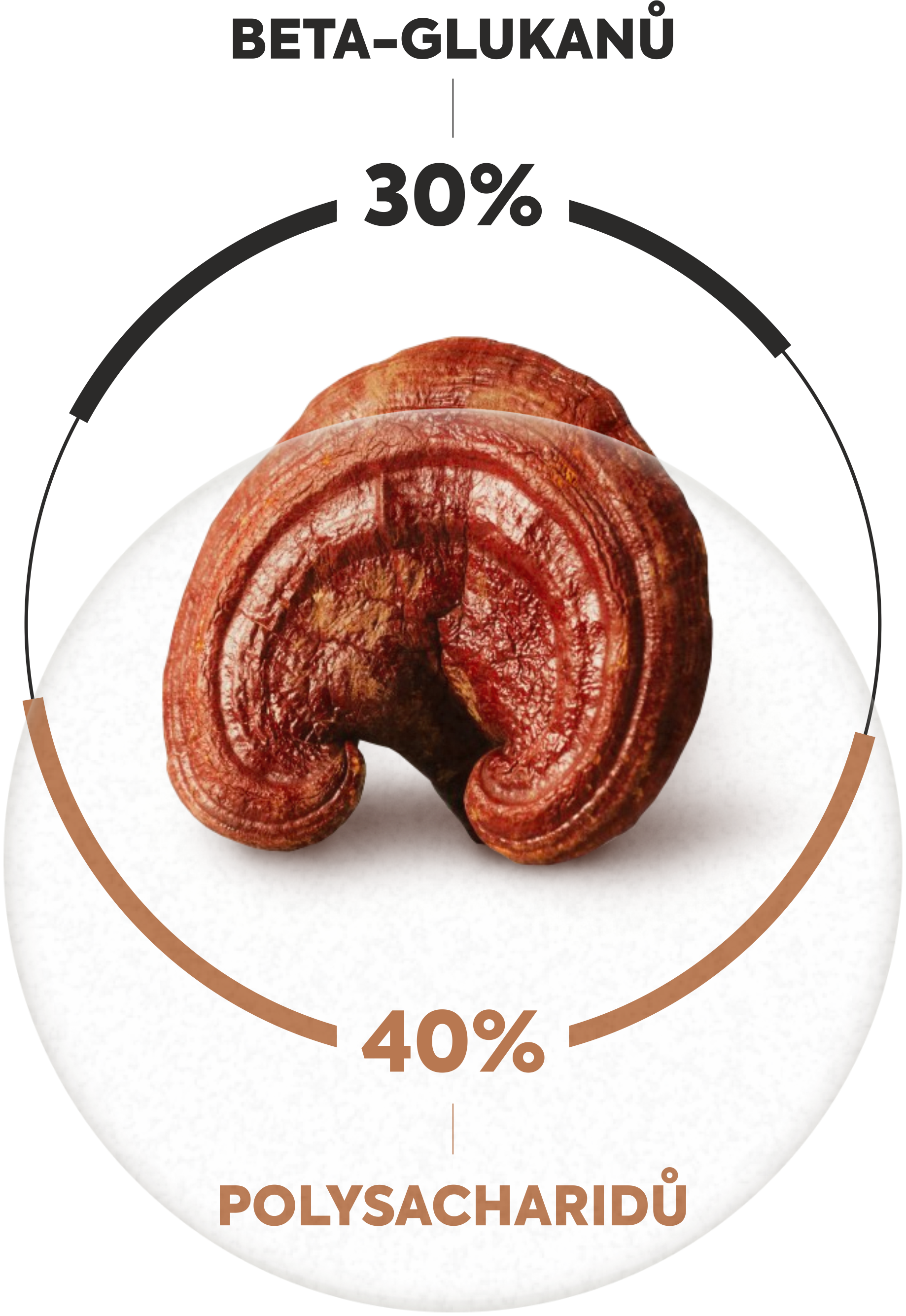 REISHI EXTRAKT DVOJITÝ TINKTURA 50 ml