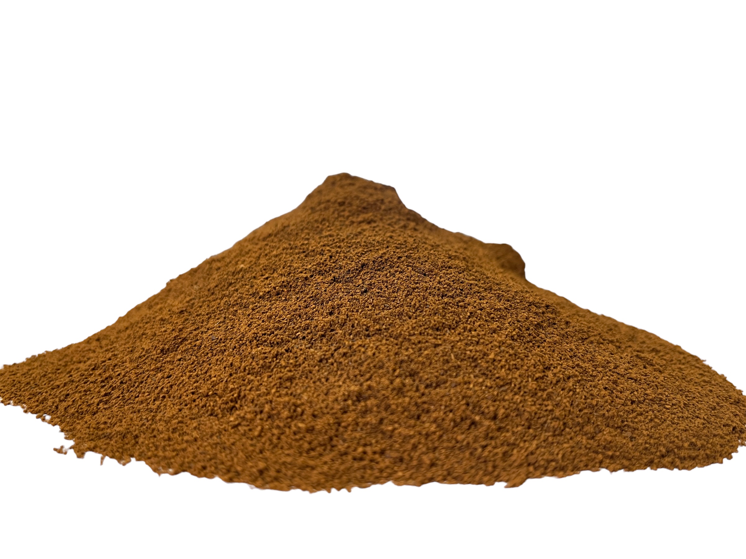 ČAGA SIBIŘSKÁ prášek 100 g