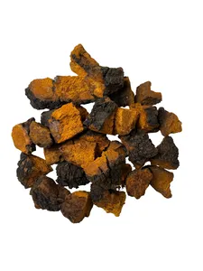 ČAGA SIBIŘSKÁ kousky 100 g