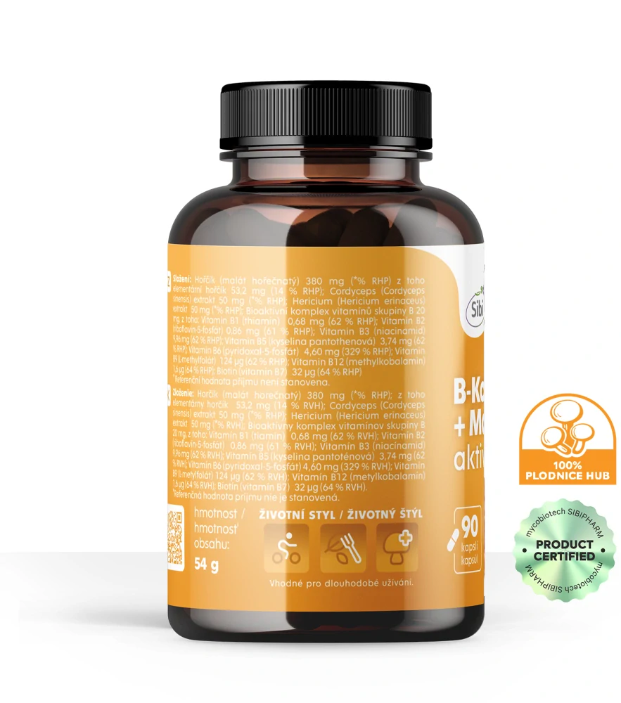 B-Komplex + Magnesium-Aktive Vitamínovo-houbový komplex 90 kps 500 mg