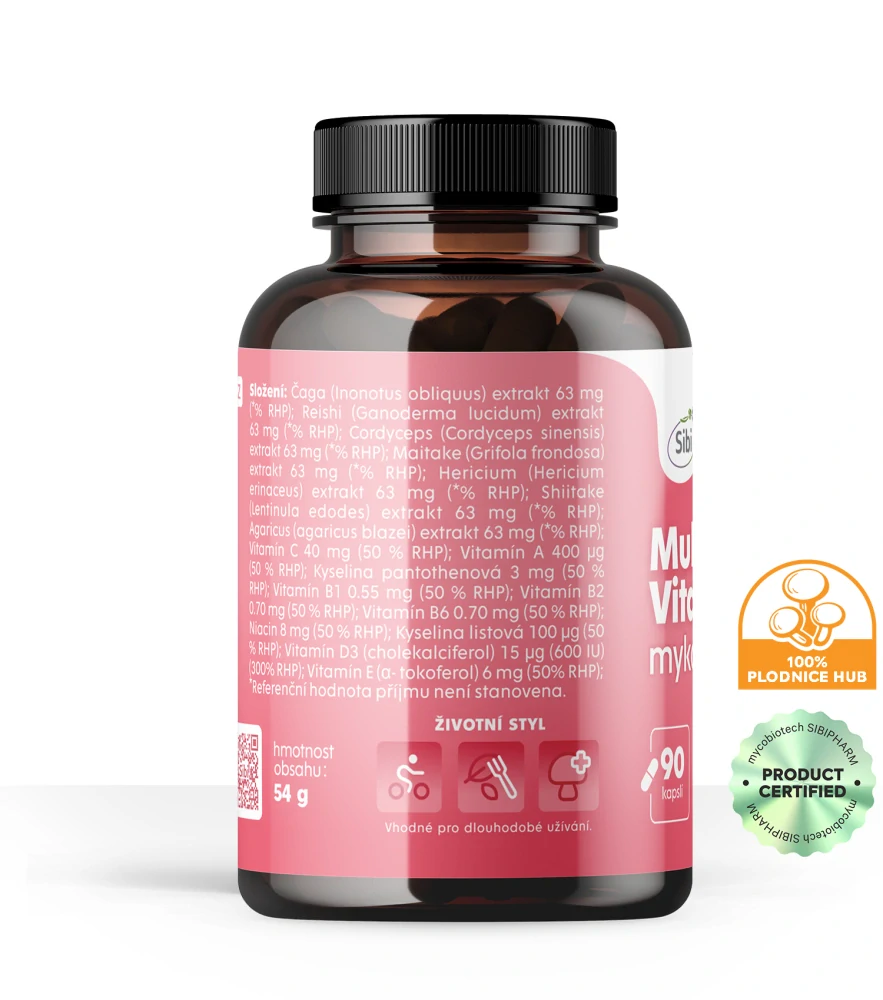 Multi Vitamin Vitamínovo-houbový komplex 90 kps 500 mg