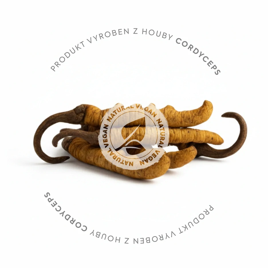 CORDYCEPS EXTRAKT 90 KAPSLÍ 500 mg
