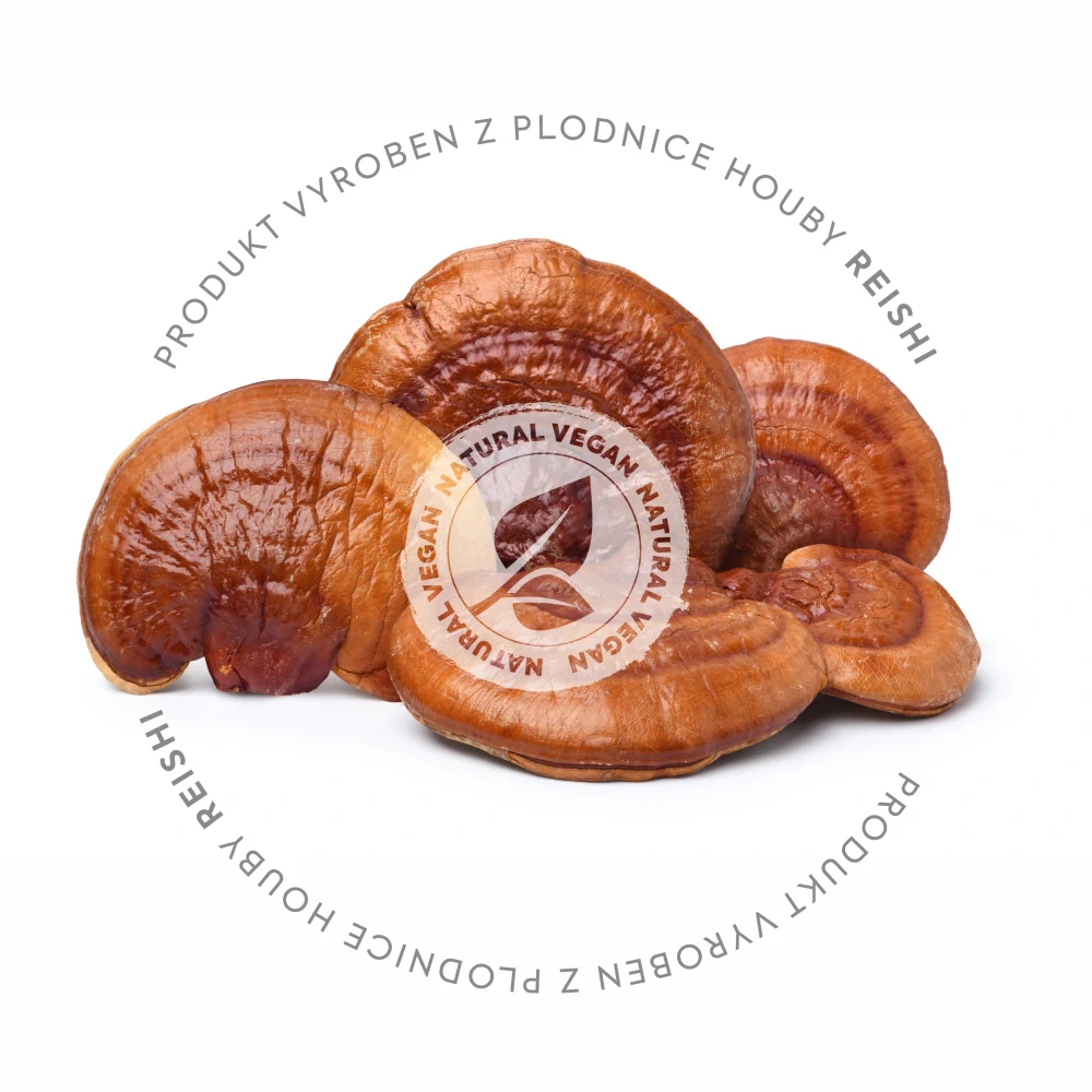 Reishi extrakt 90 kapslí 500 mg