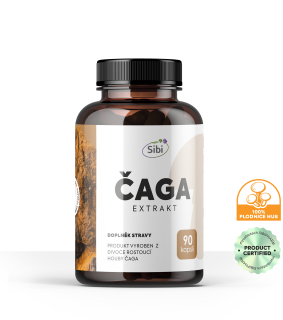 ČAGA EXTRAKT 90 KAPSLÍ 500 mg